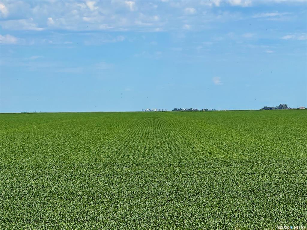Highway 6 303 Acres Grain Farmland (MAV), SK043880, Saskatchewan,