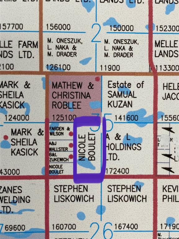 RM of Estevan 79.17 acres, SK043888, Saskatchewan,