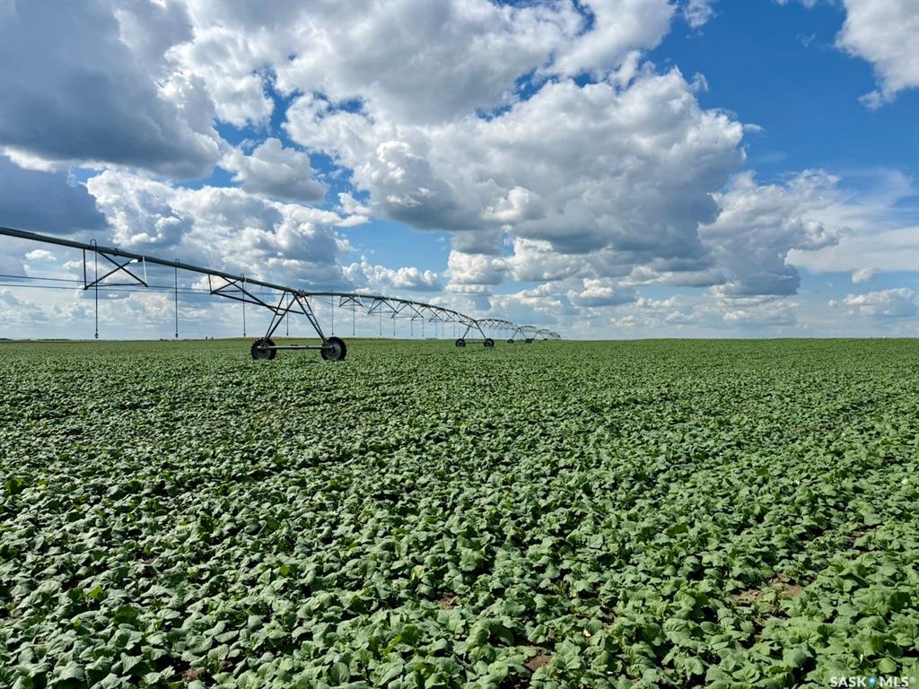 Outlook 642 acres of Irrigation Farmland (MAV), SK043892, Saskatchewan,