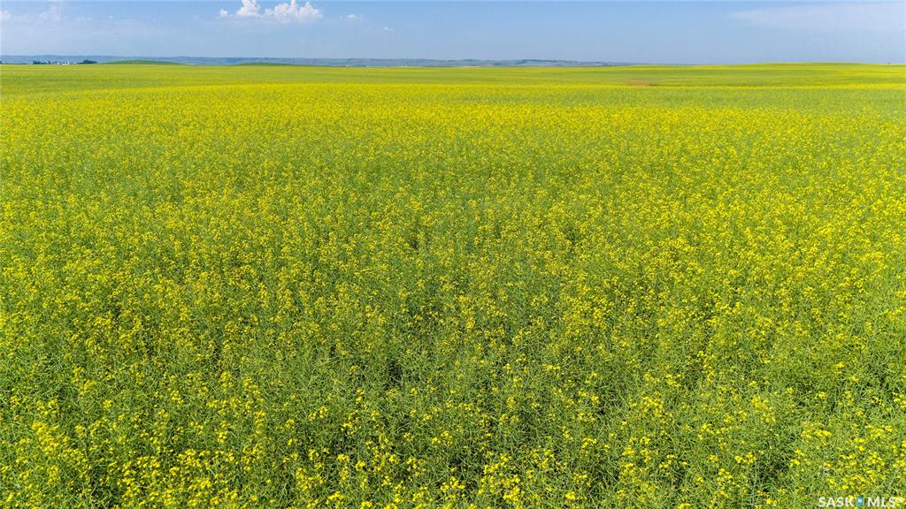 NE 13-13-25 W2 - BRIERCREST AREA, SK043923, Saskatchewan,