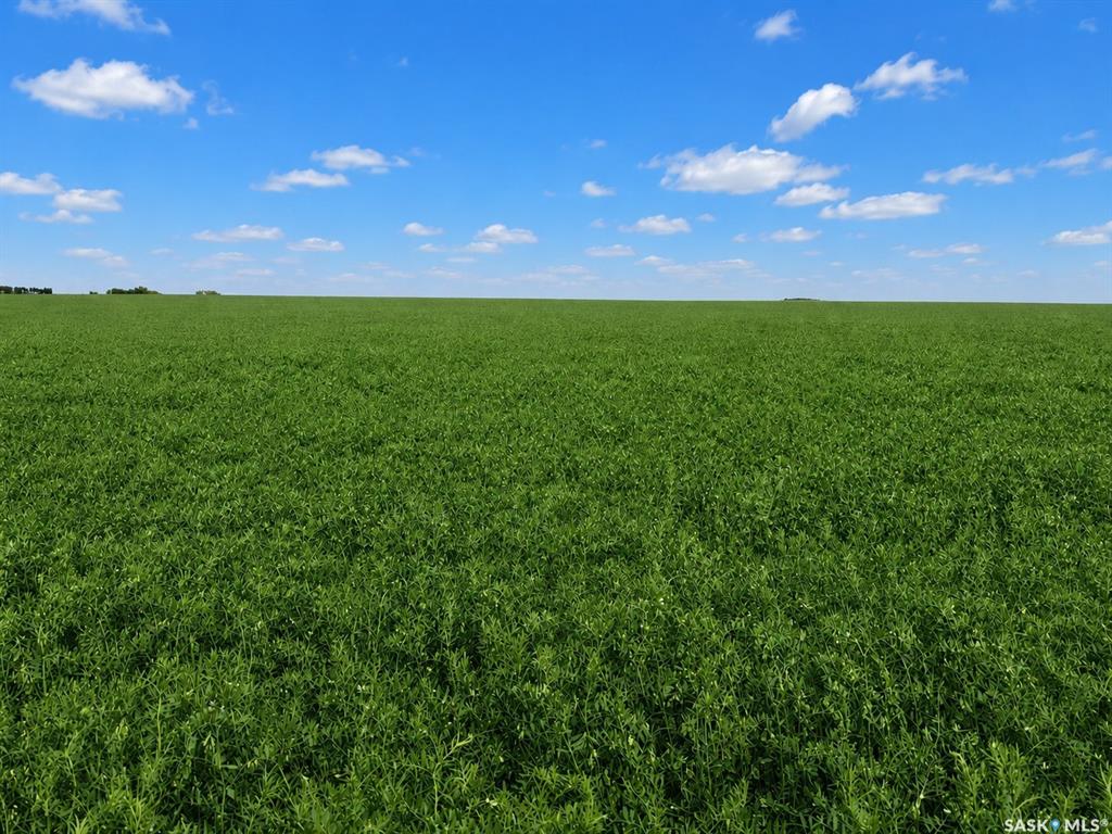 Riceton 160 acres Grain Farmland, SK044007, Saskatchewan,