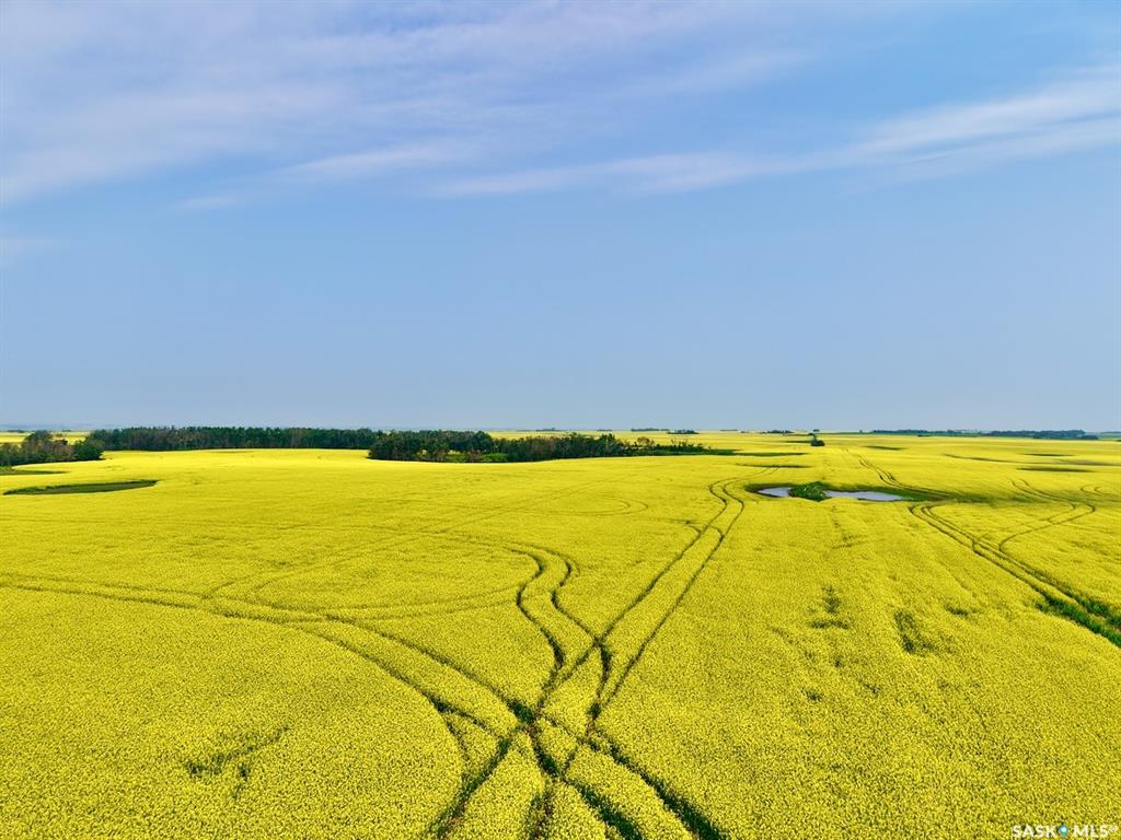 Aberdeen 625 Acres Grain Farmland, SK044044, Saskatchewan,