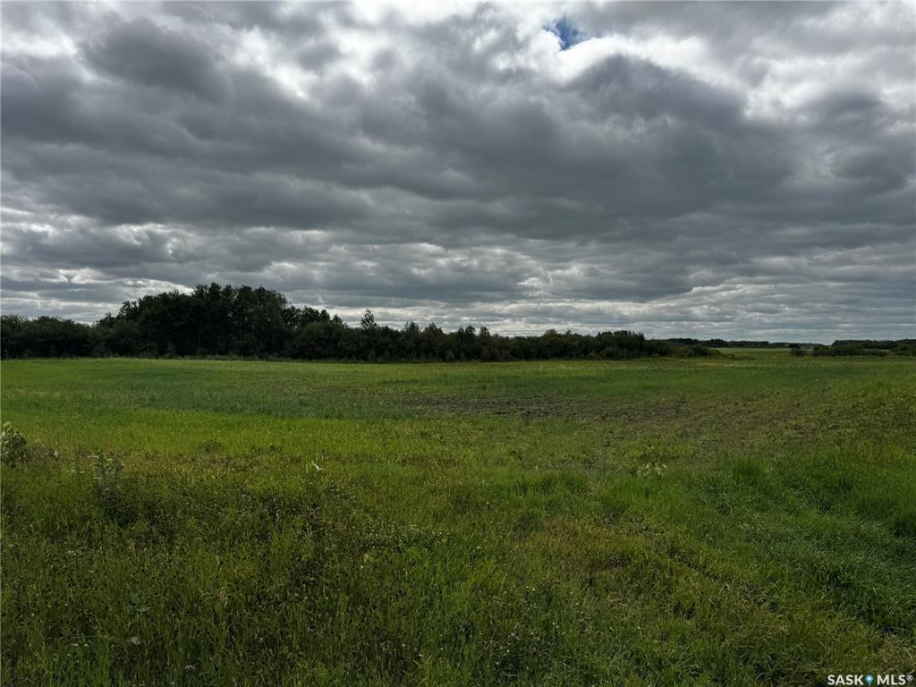 Third View of Farmland RM of St. Philips 160 Acres, St. Philips RM No. 301, Saskatchewan, S0A 2Z0