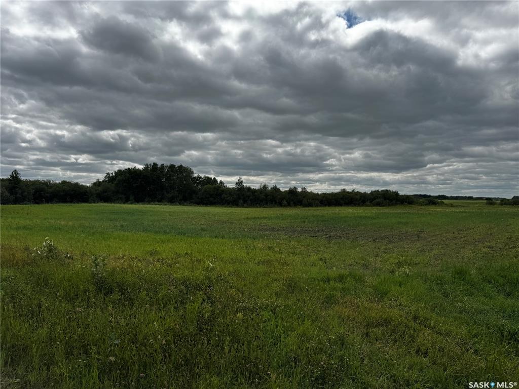 Fourth View of Farmland RM of St. Philips 160 Acres, St. Philips RM No. 301, Saskatchewan, S0A 2Z0