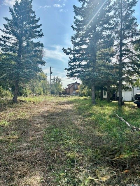 316 Evenson Avenue, SK044876, Saskatchewan,