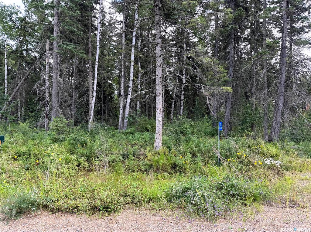 Third View of Lot 22 Turtle Cove, Turtle Lake, Saskatchewan, S7H 1Y5