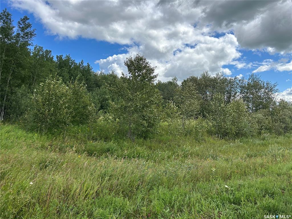 Second View of Ball Recreation Land, Clayton Rm No. 333, Saskatchewan, S0A 3X0