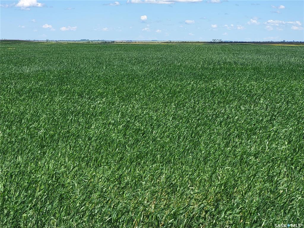 Pangman 156 acres Grain Farmland, SK044907, Saskatchewan,
