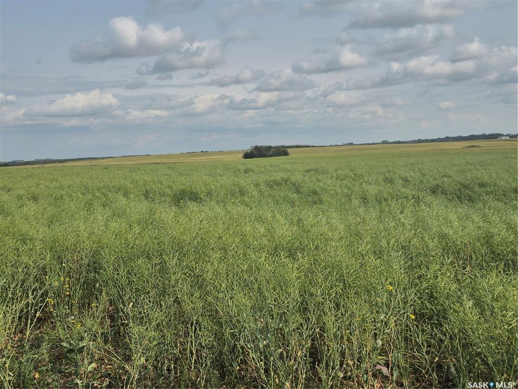 Third View of DOLEZAL LAND, Blaine Lake Rm No. 434, Saskatchewan, S0J 0J0