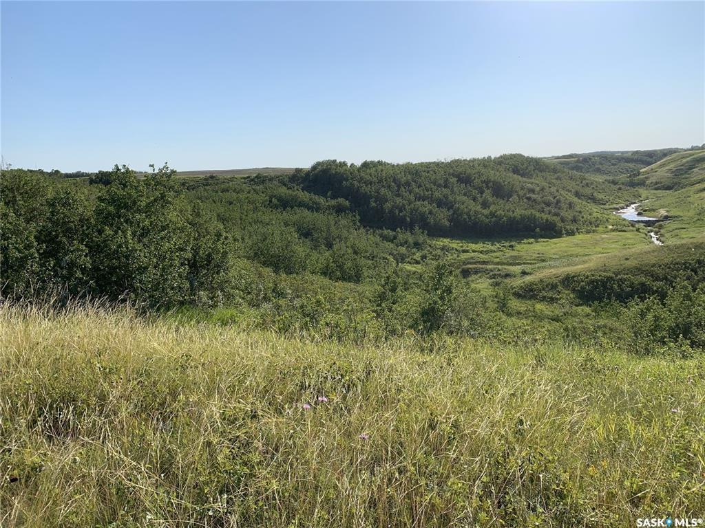 Fourth View of DOLEZAL LAND, Blaine Lake Rm No. 434, Saskatchewan, S0J 0J0