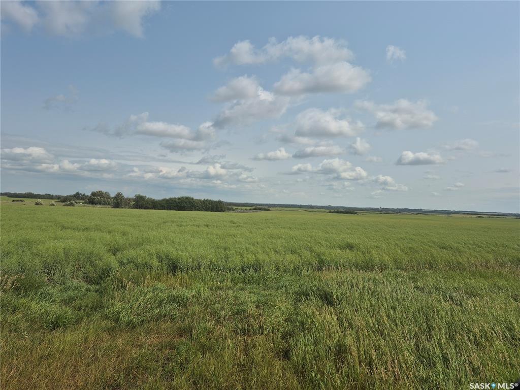 Fifth View of DOLEZAL LAND, Blaine Lake Rm No. 434, Saskatchewan, S0J 0J0