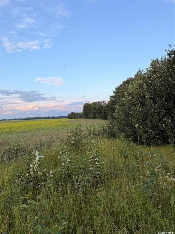 25.87 Acres 8.5kms East of Meadow Lake, SK044941, Saskatchewan,
