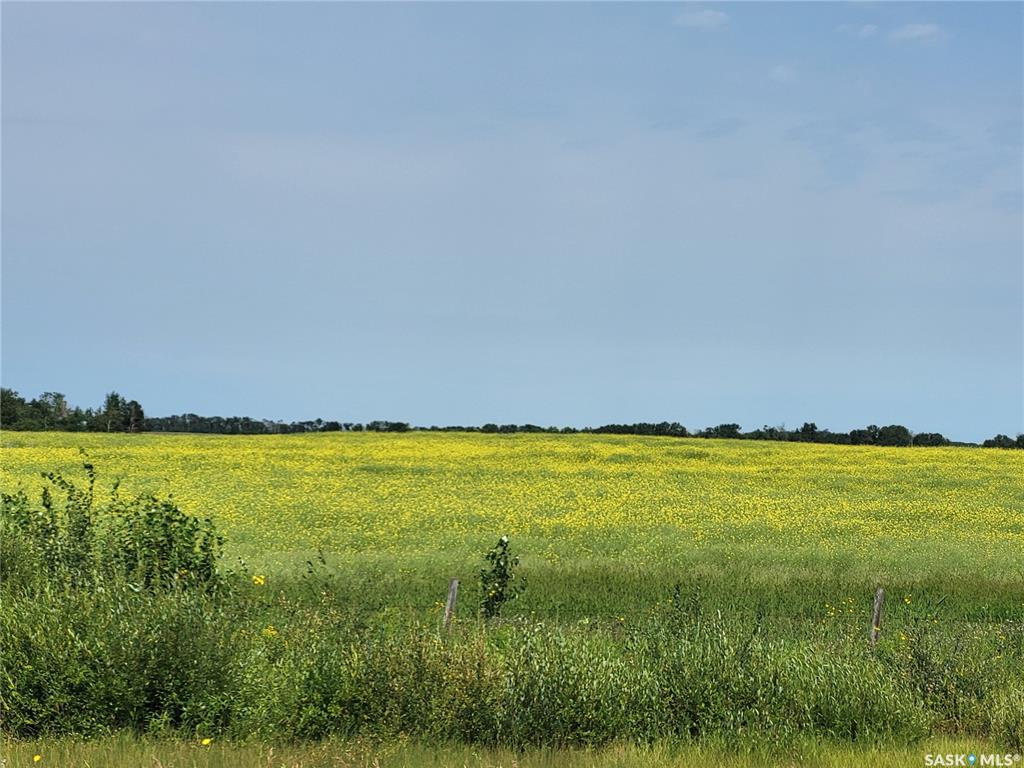Third View of Debden 1,641 acres Grain & Pastureland, Canwood Rm No. 494, Saskatchewan, S0J 0S0