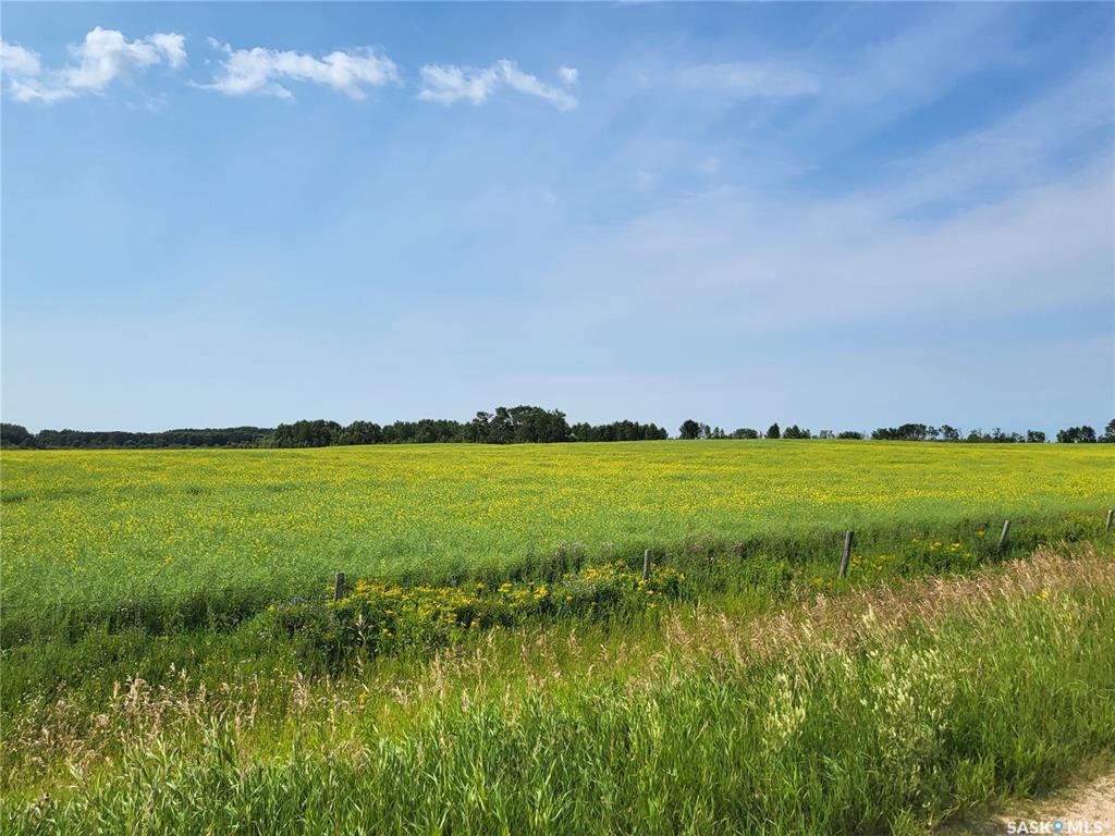 Fifth View of Debden 1,641 acres Grain & Pastureland, Canwood Rm No. 494, Saskatchewan, S0J 0S0