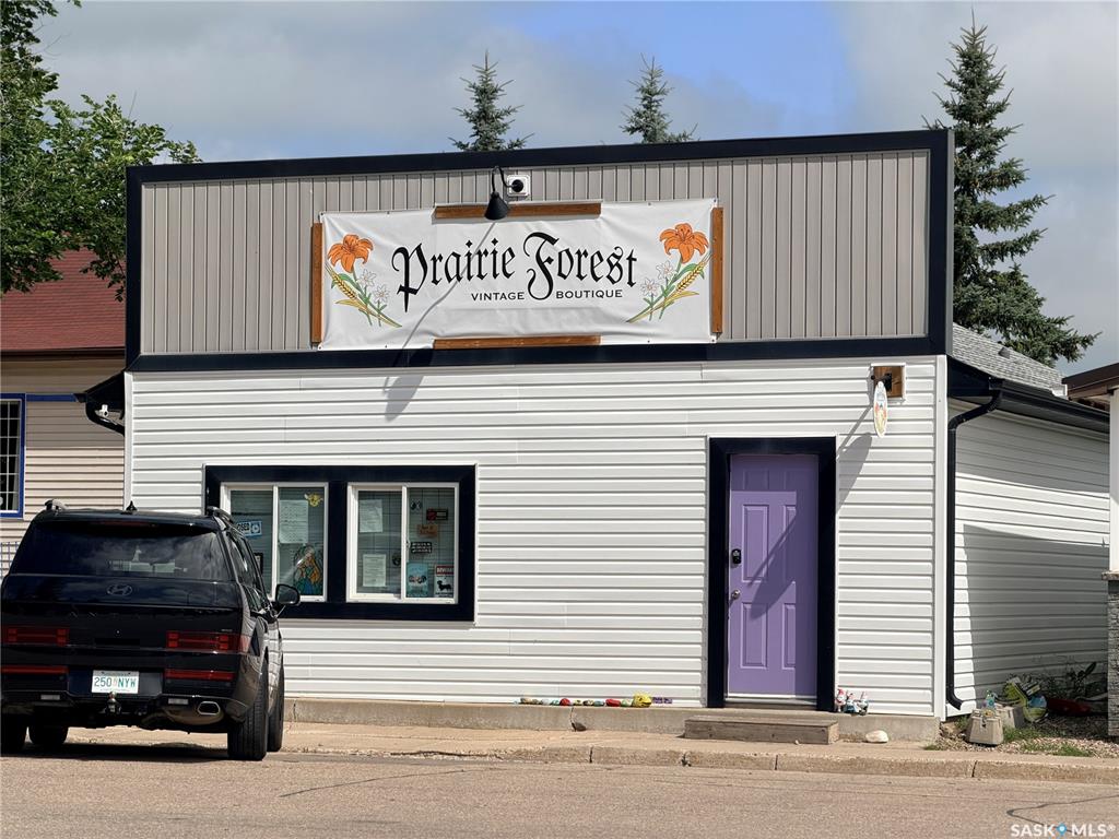 411 Main Street E, SK044987, Saskatchewan,