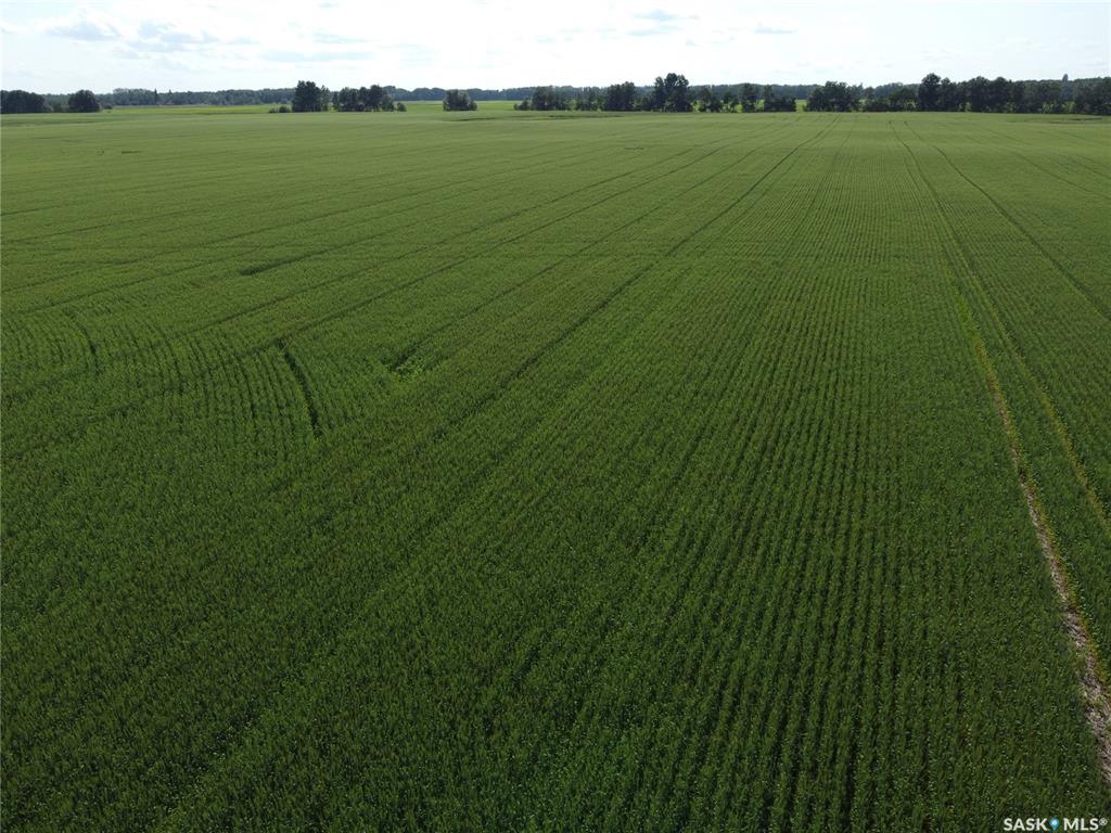 Albertville 482.8 acres Grain Farmland, SK045181, Saskatchewan,