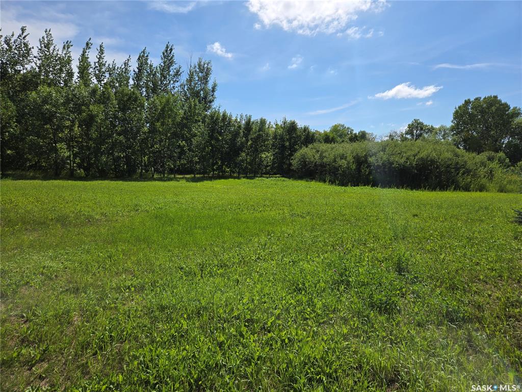 MLS® listing #SK045820 for sale located at 1 1st Avenue