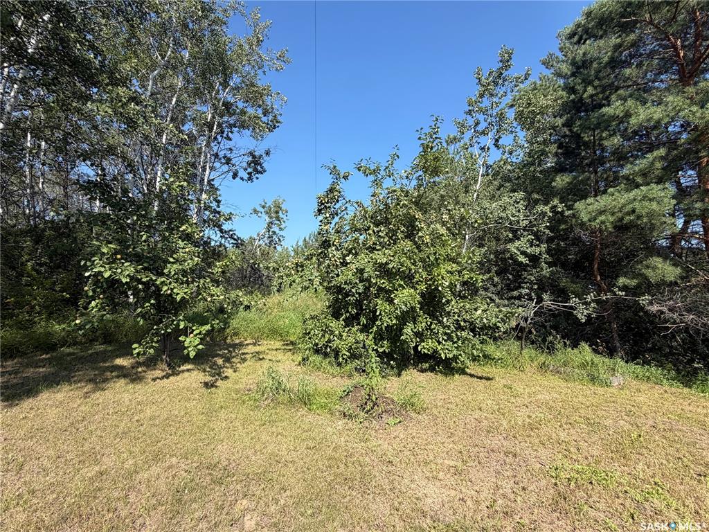 Fifth View of Cyr Acreage, Shellbrook Rm No. 493, Saskatchewan, S0J 2E0