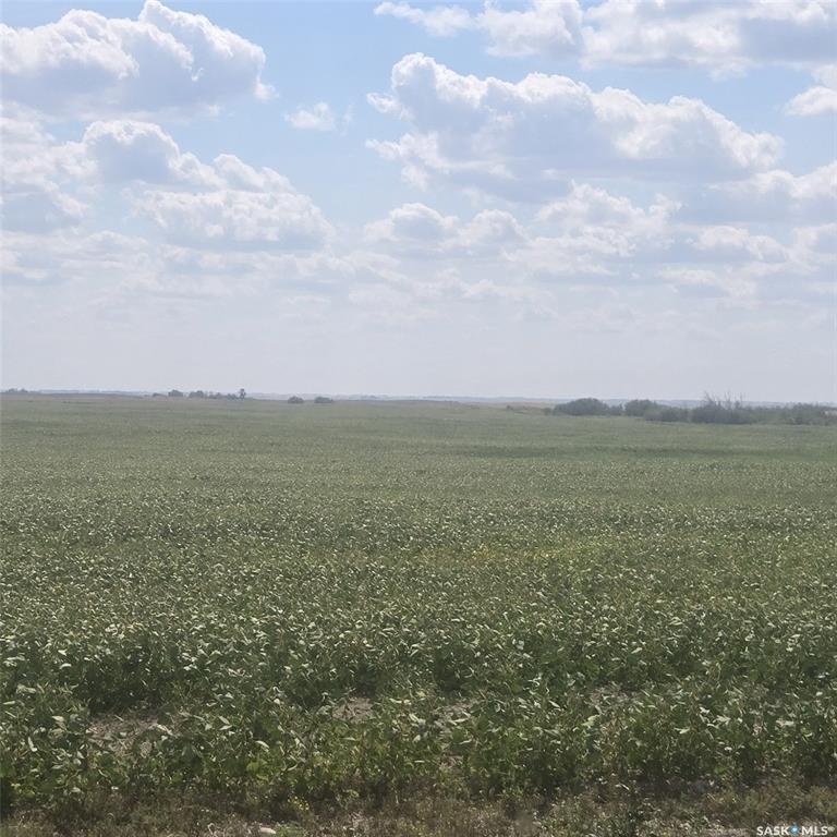 MLS® listing #SK046247 for sale located at RM220 - Erhardt Shop & Farmland