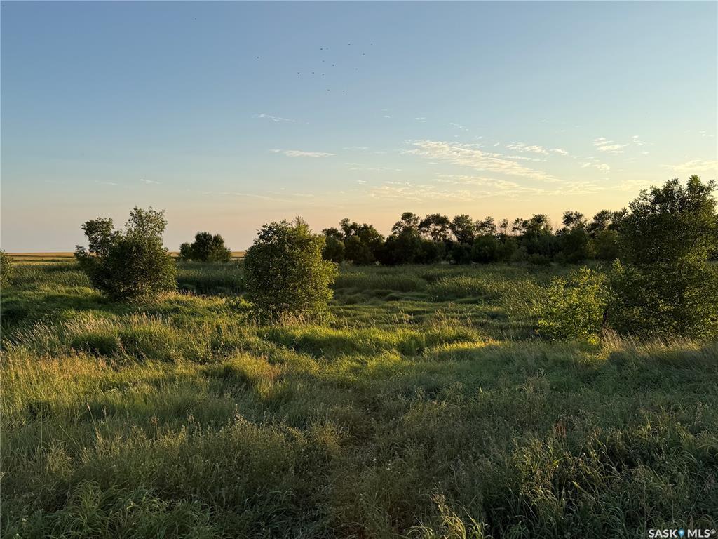 Fourth View of Krpan Acreage, Brokenshell Rm No. 68, Saskatchewan, S4H 2L5