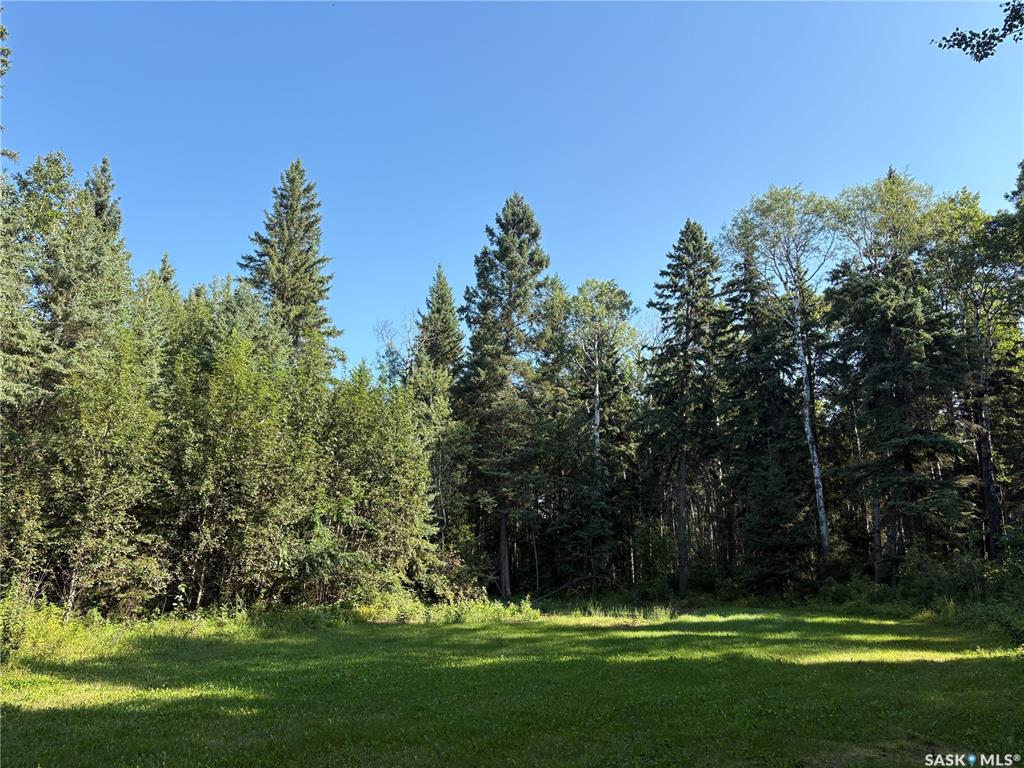 Fourth View of 2.54 acre building lot, Big River Rm No. 555, Saskatchewan, S0J 0E0