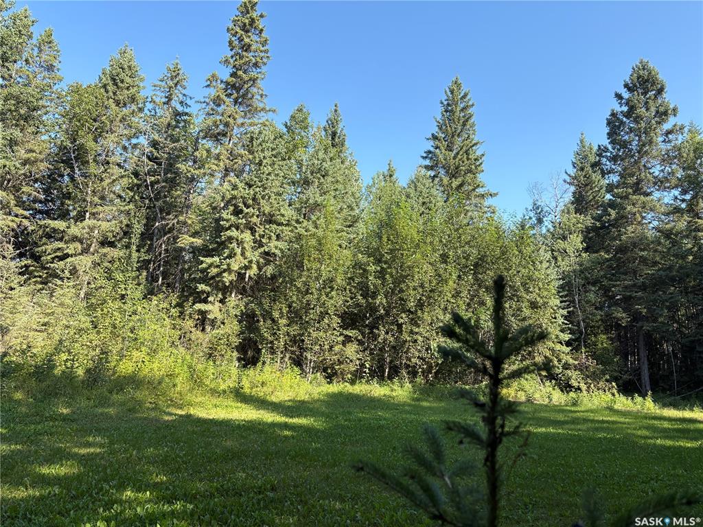 Fifth View of 2.54 acre building lot, Big River Rm No. 555, Saskatchewan, S0J 0E0