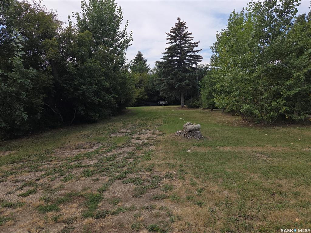 MLS® listing #SK047018 for sale located at 218 Lewis Street