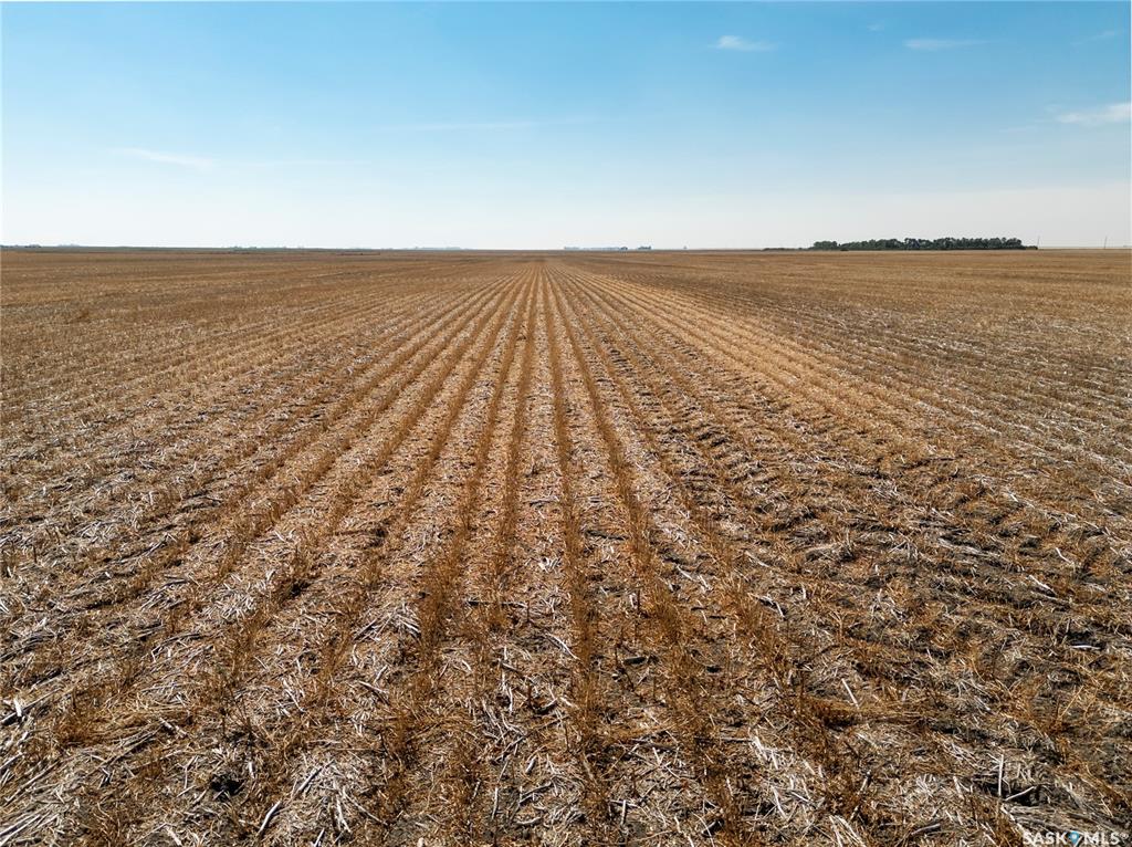 305 Acres - Sedley, SK047066, Saskatchewan,