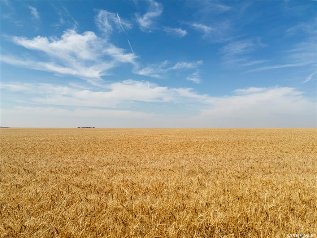 S 1/2 36-13-16 W2 - Sedley, SK047069, Saskatchewan,