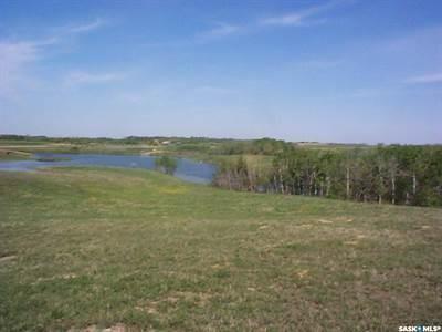 Main View of Drews Road Land, Aberdeen Rm No. 373, Saskatchewan, S0K 0A0