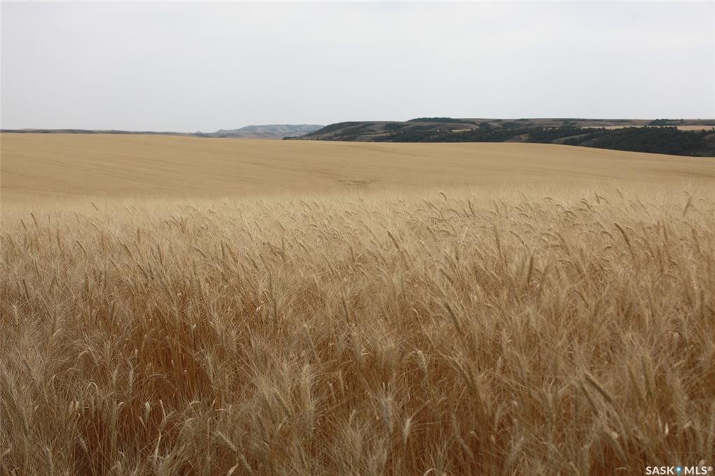 214.99 Acres Grainland Near Willow Bunch, SK047373, Saskatchewan,