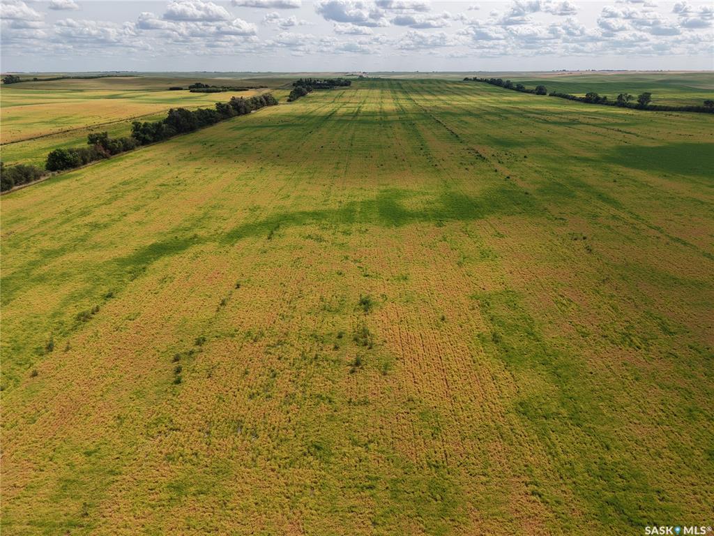 Hazlet 1,256 Acres Grain Farmland, SK048455, Saskatchewan,