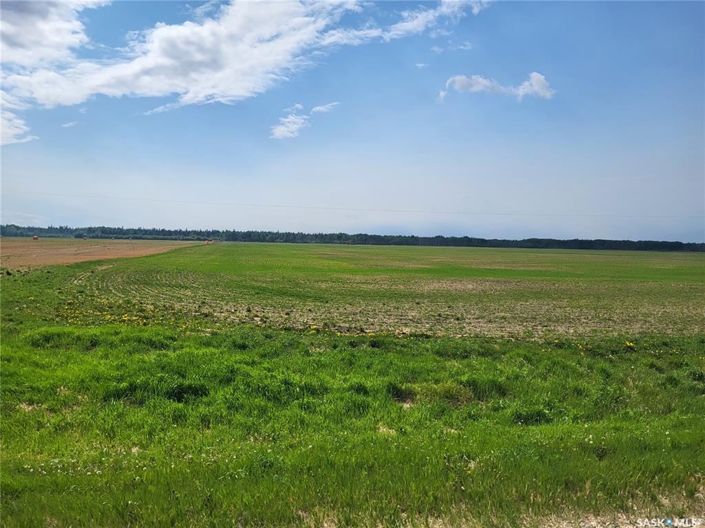 Second View of Carrot River 158 acres Grain Farmland, Moose Range Rm No. 486, Saskatchewan, S0E 0L0