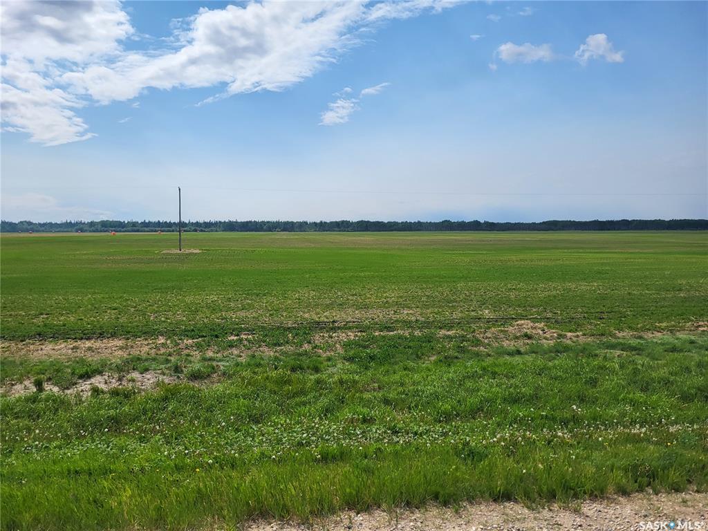 Fourth View of Carrot River 158 acres Grain Farmland, Moose Range Rm No. 486, Saskatchewan, S0E 0L0