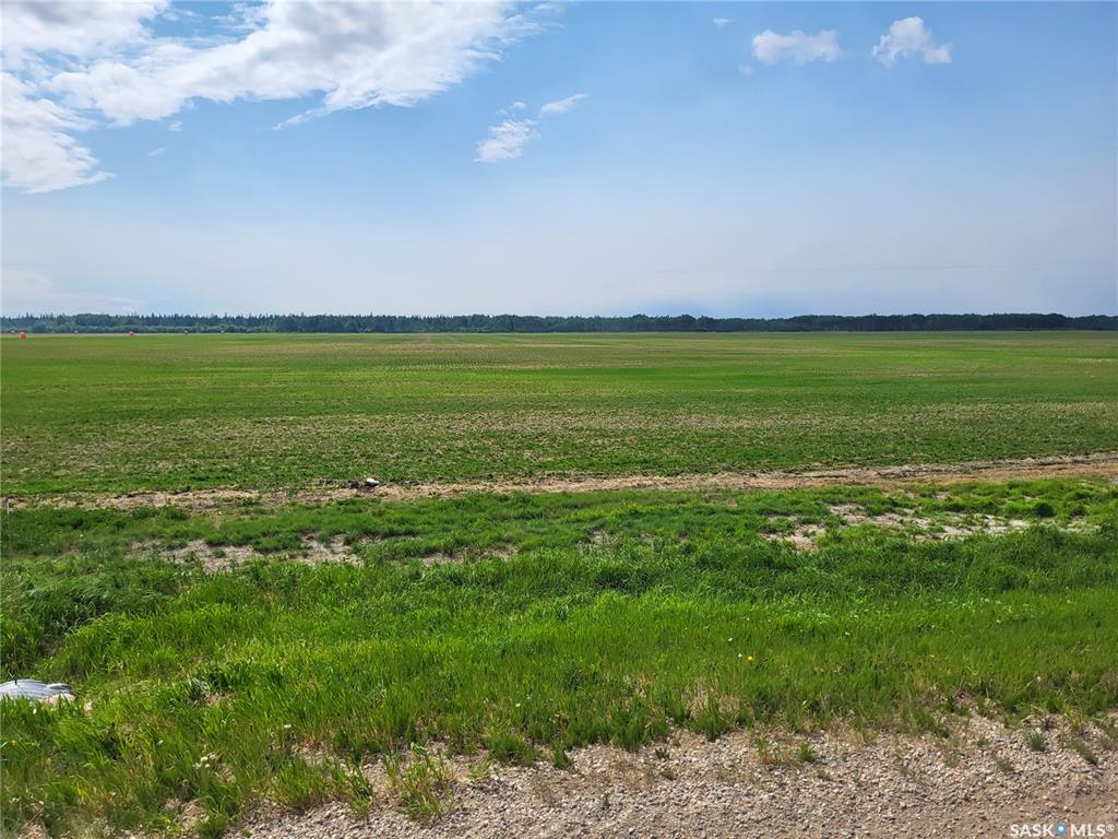 Fifth View of Carrot River 158 acres Grain Farmland, Moose Range Rm No. 486, Saskatchewan, S0E 0L0