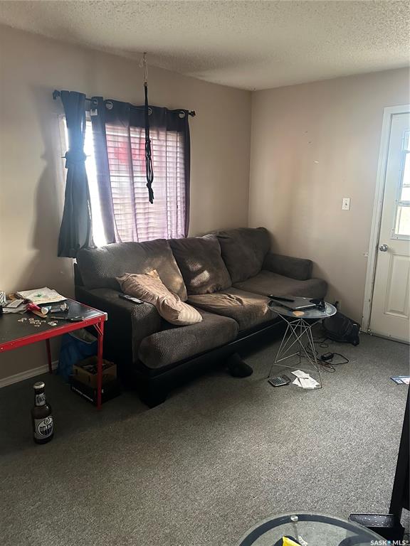 Fifth View of 335 Atlantic Avenue, Kerrobert, Saskatchewan, S0K 1R0