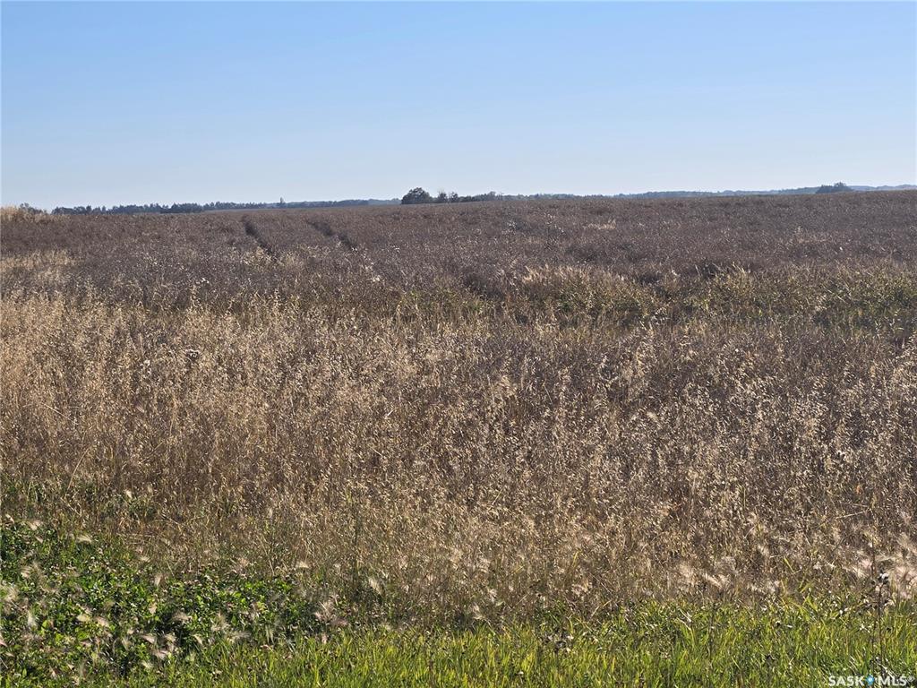 Hagen quarter, SK048975, Saskatchewan,