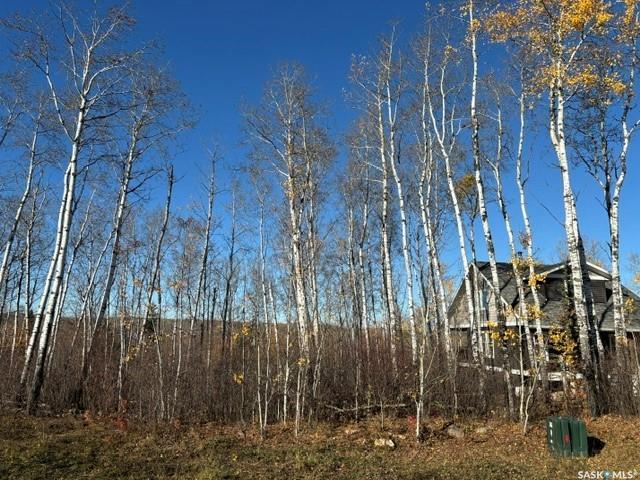 516 Bear Ridge Road, SK049265, Saskatchewan,