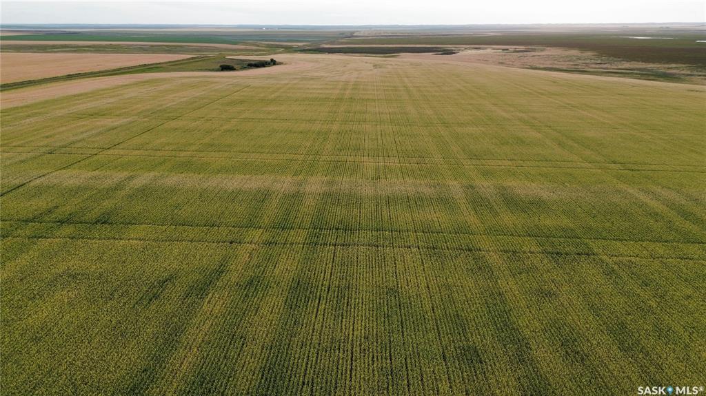 Rosetown 160 acres Grain Farmland, SK050483, Saskatchewan,