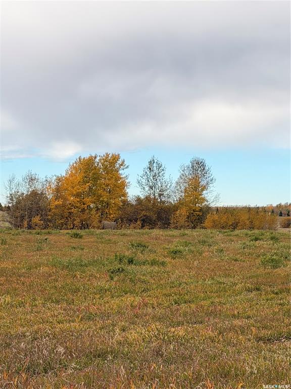 Third View of 10 Acres Northern Meadows, Beaver River Rm No. 622, Saskatchewan, S0M 1A0
