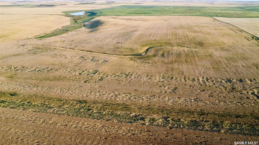Fourth View of RM 346 Perdue Farmland - 159 Acres (Howard), Perdue Rm No. 346, Saskatchewan, S0K 3C0