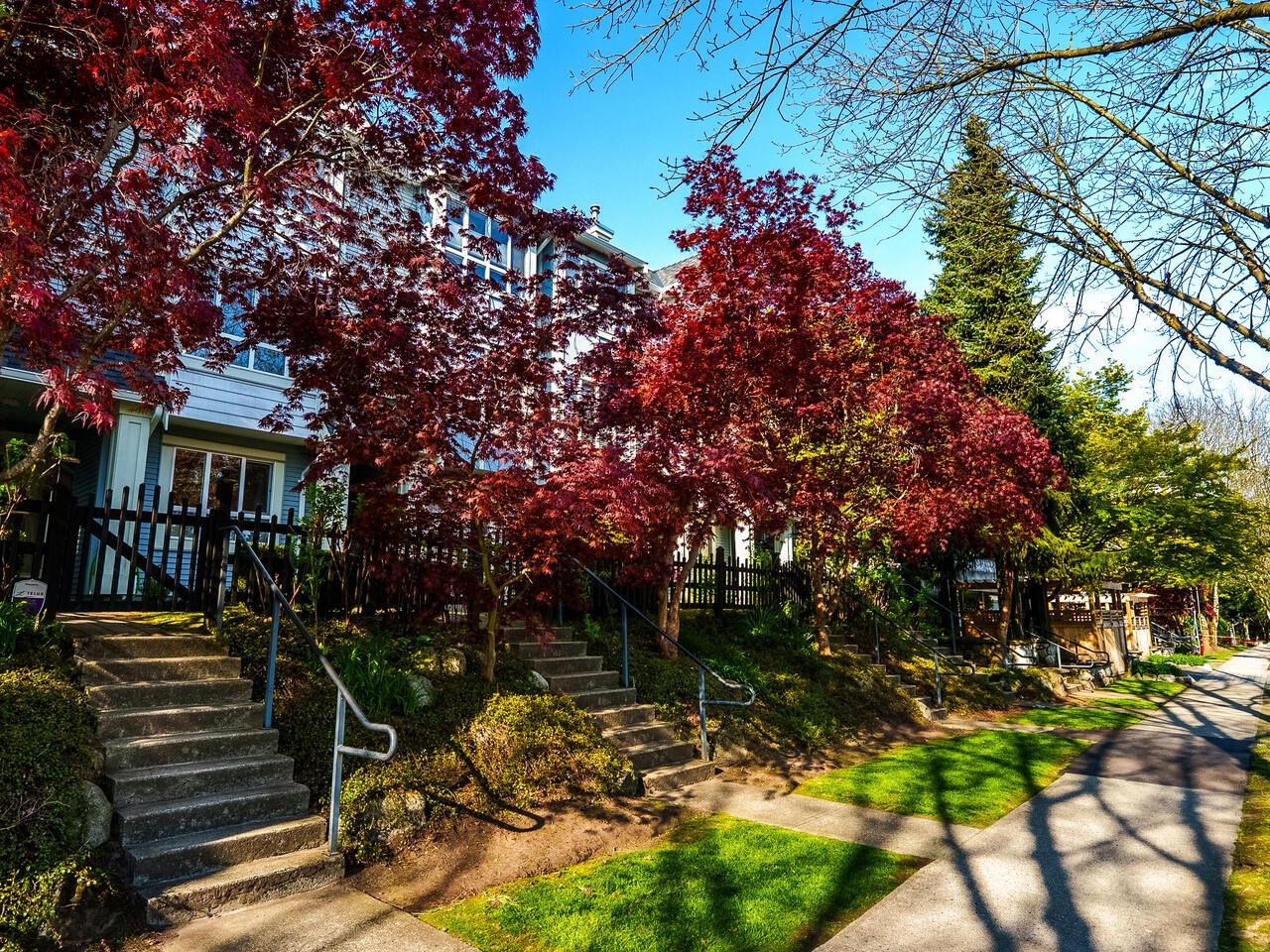 6711 PRENTER STREET, Burnaby BC V5E 4K5, R2993519, BC,
