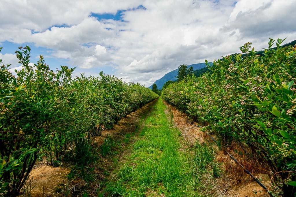 10AC JOHNSON ROAD, Mission BC V0M 1G0, R3005594, BC,