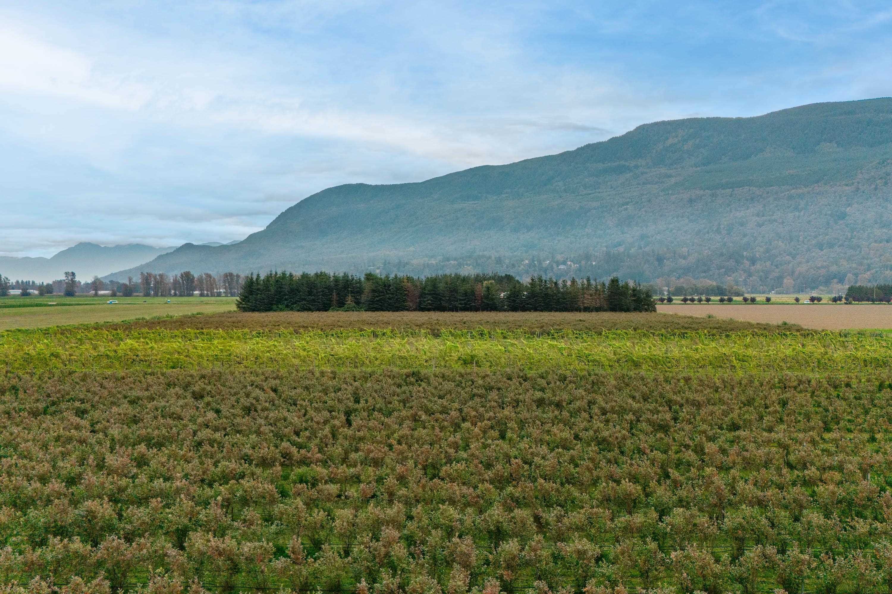 3387 TOLMIE ROAD, Abbotsford BC V3G 2T9, R3006915, BC,
