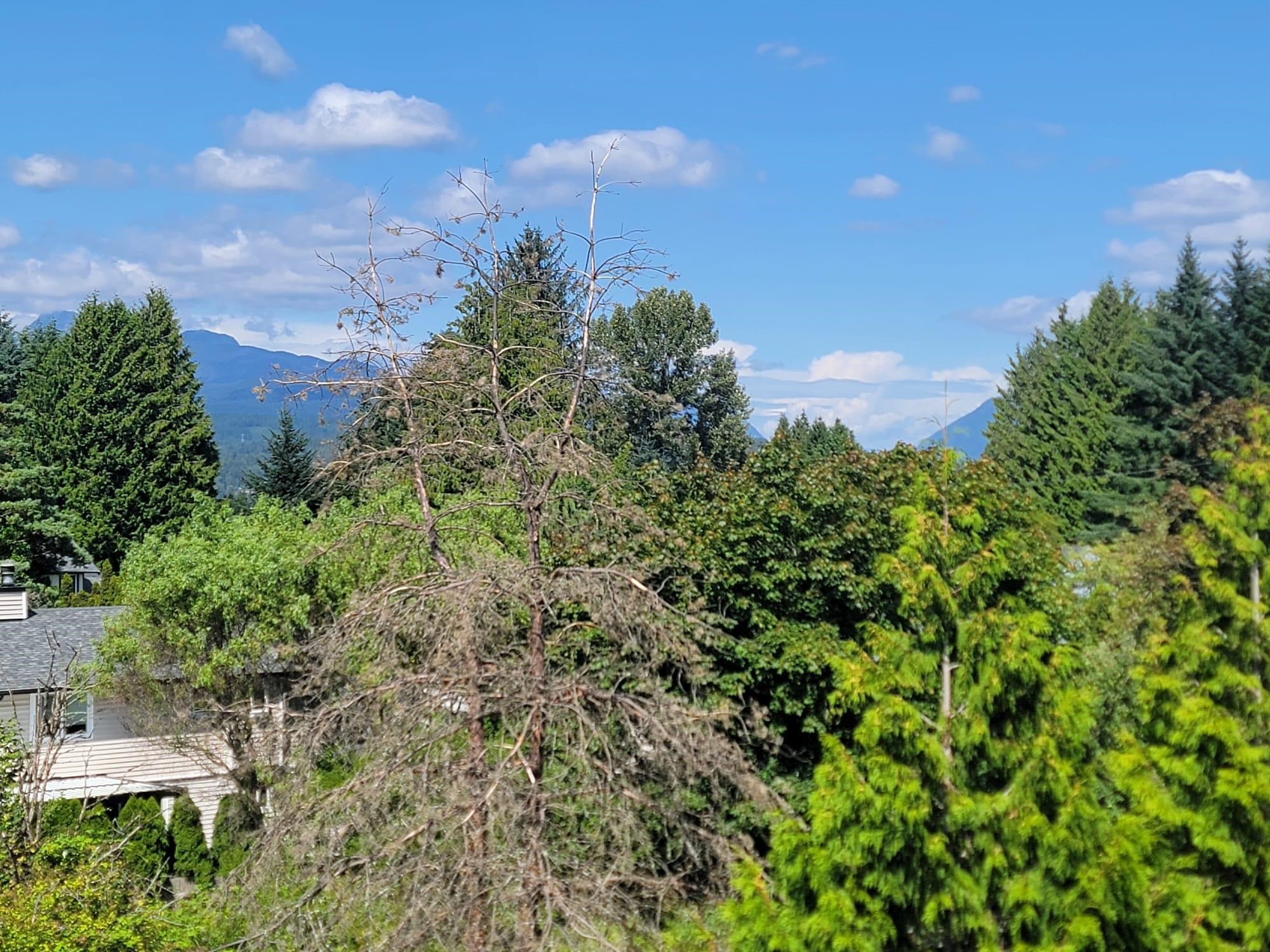 322 12085 228 STREET, R3025223, BC,