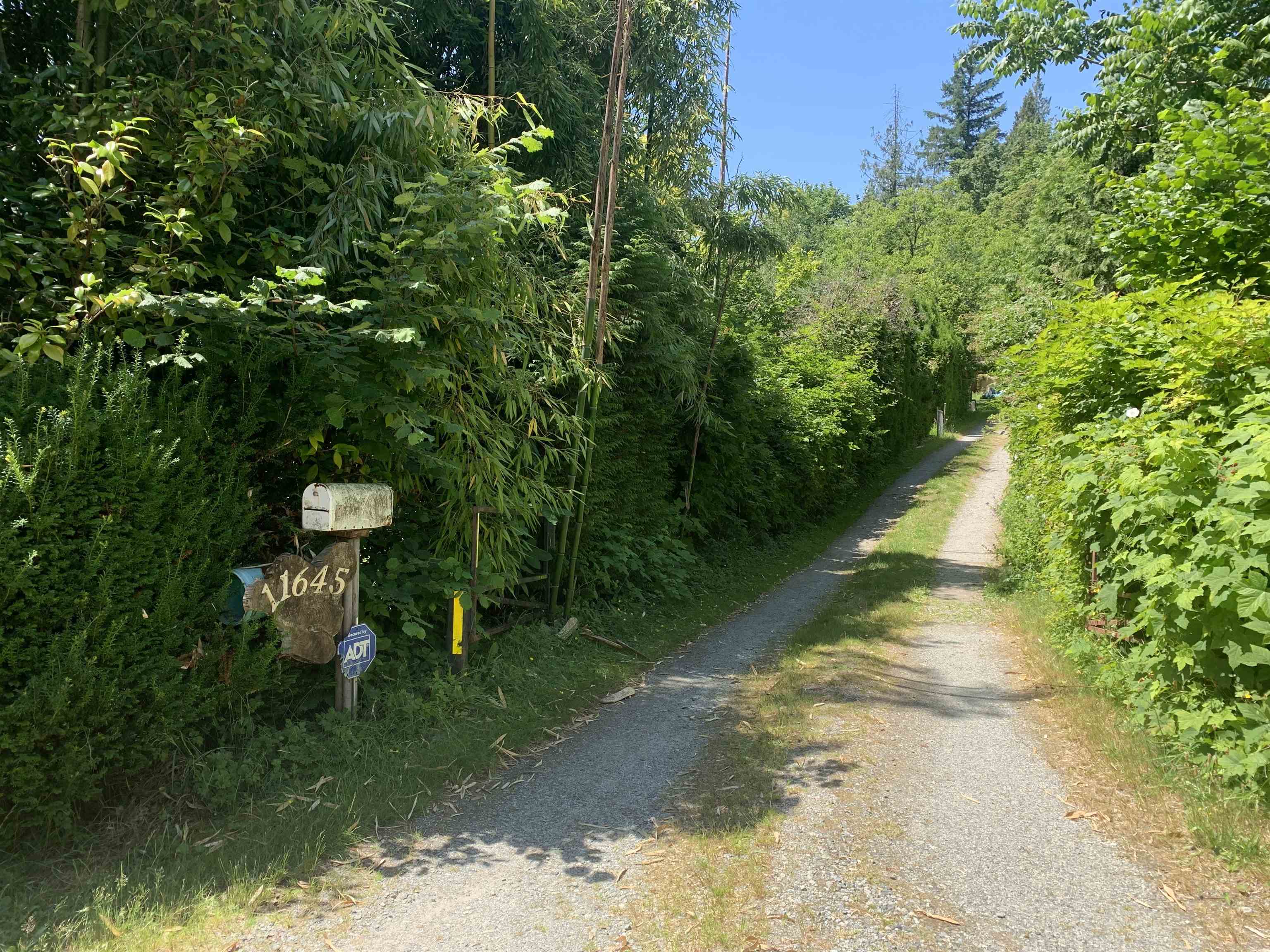 11645 248 STREET, Maple Ridge BC V4R 1H6, R3026043, BC,