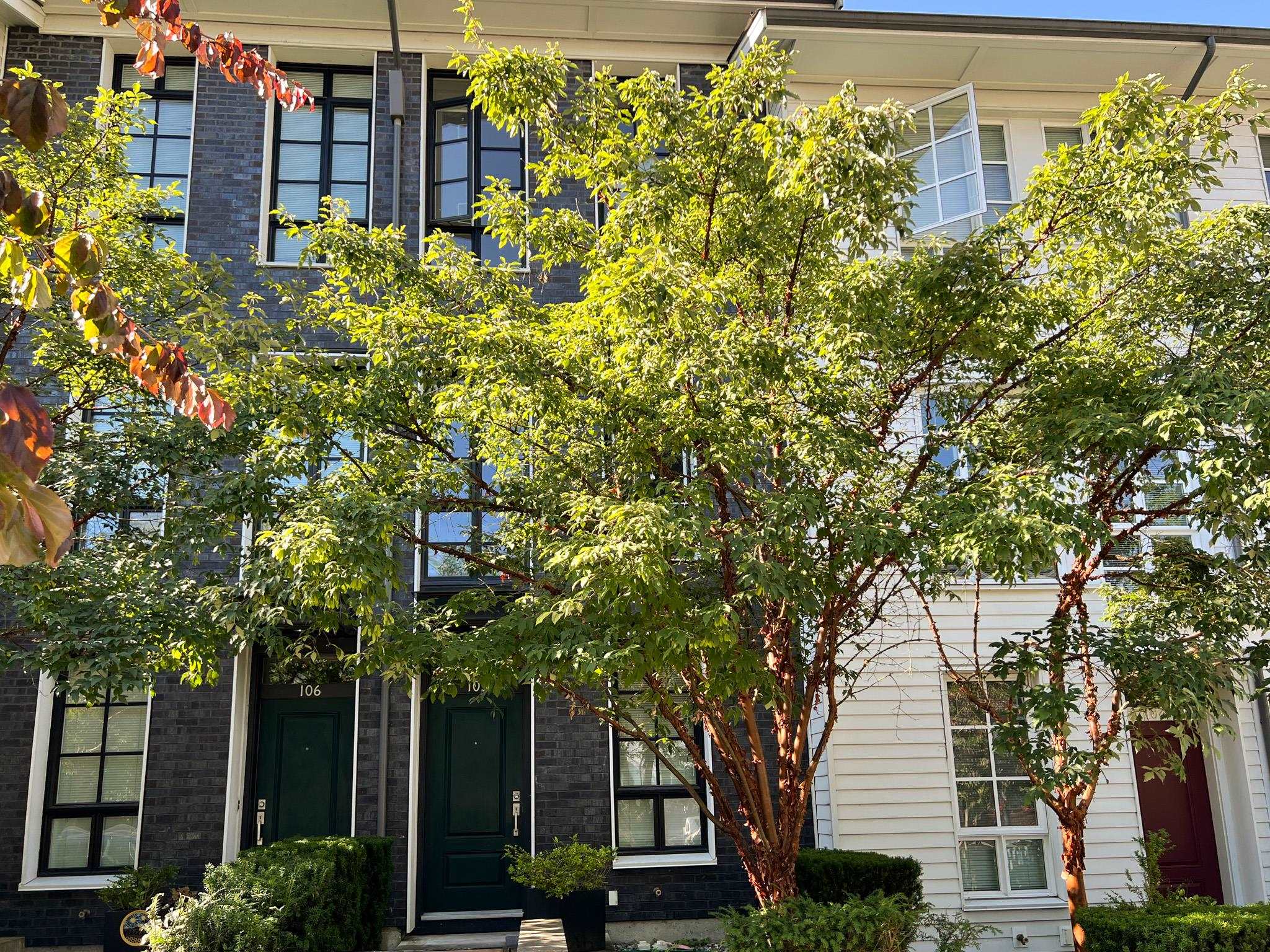 105 548 FOSTER AVENUE, R3027638, BC,