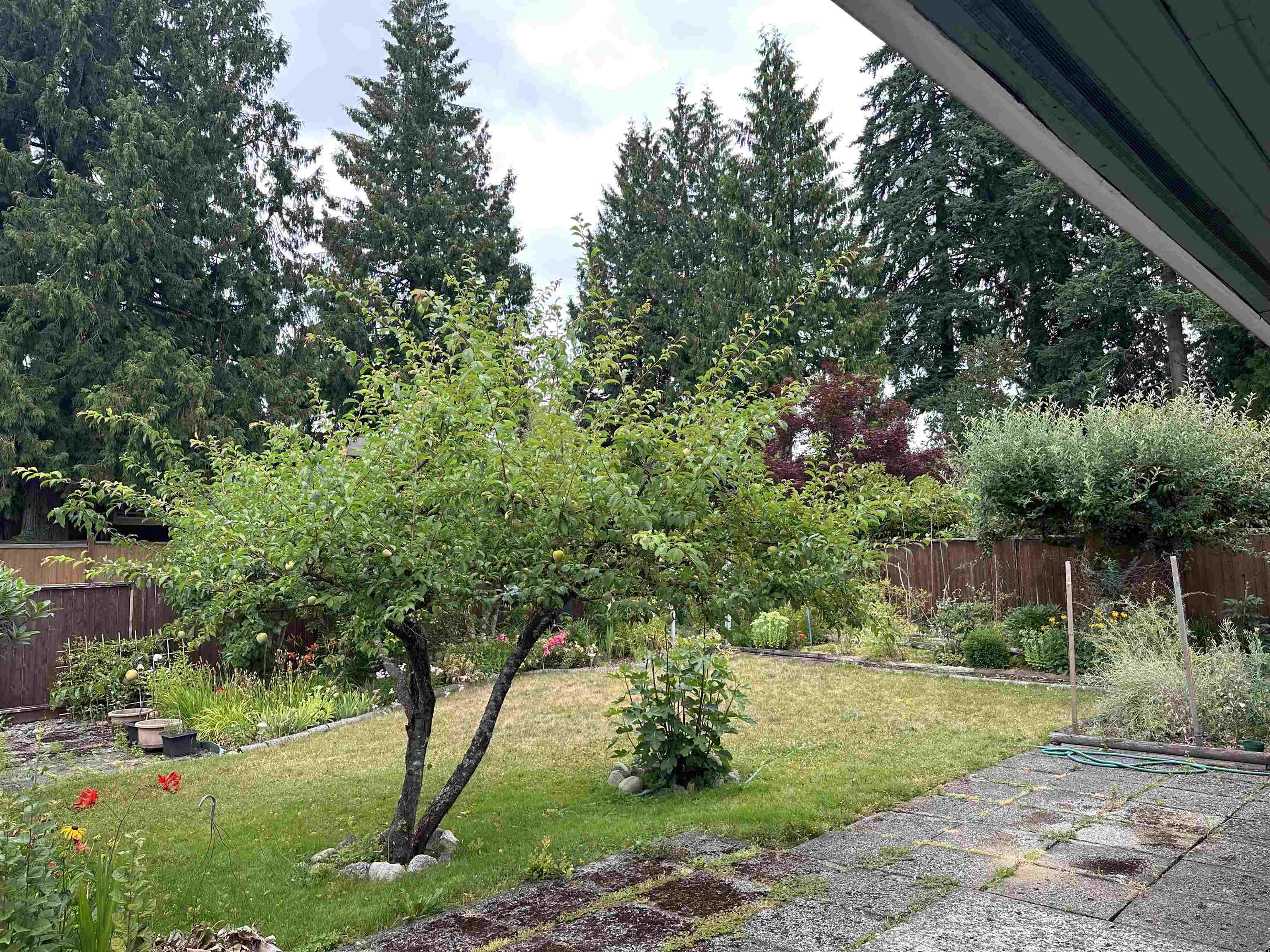 800 Block SMITH AVENUE, Coquitlam BC V3J 2X4, R3028807, BC,