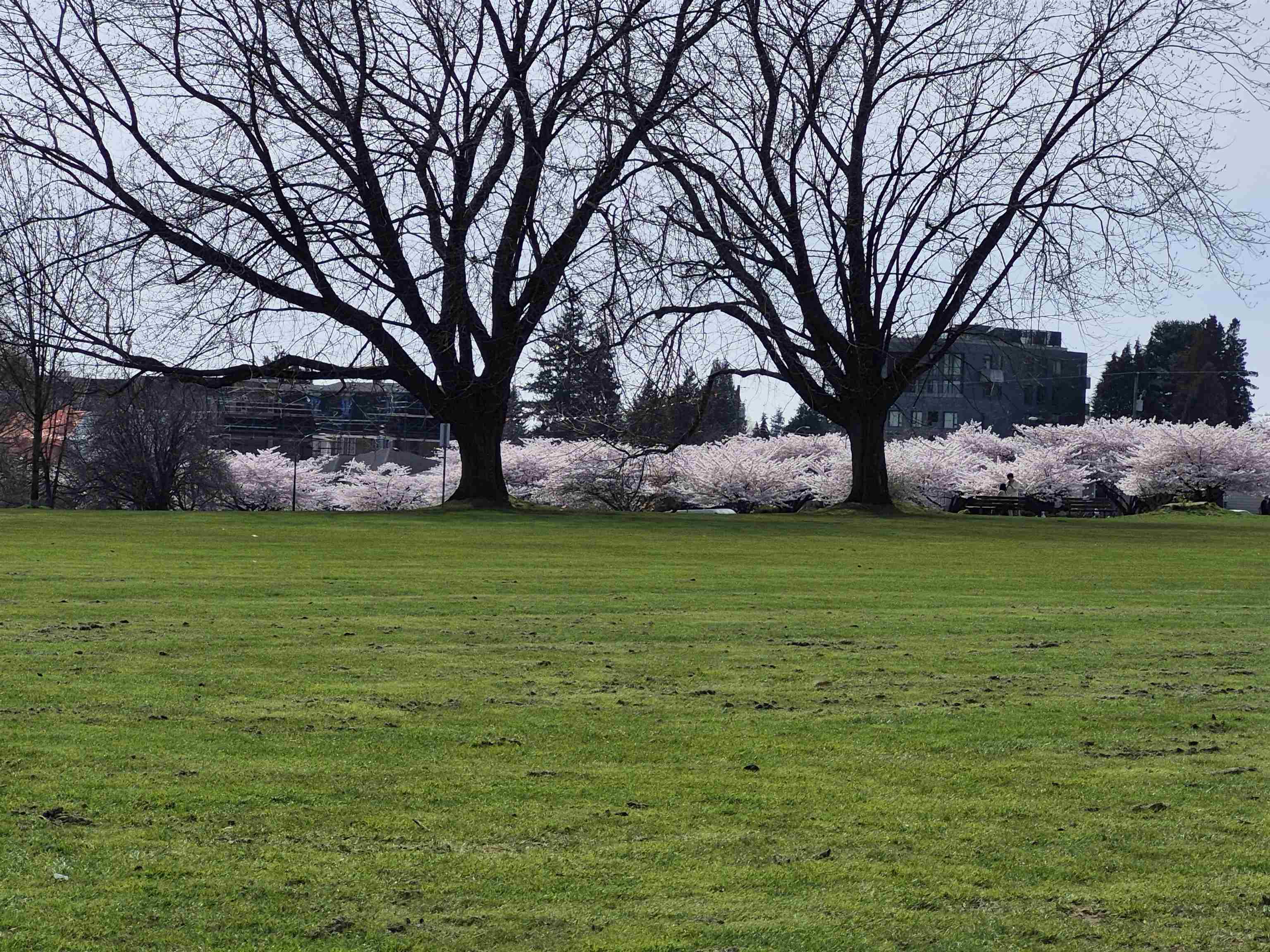 204 375 59TH AVENUE, R3035220, BC,