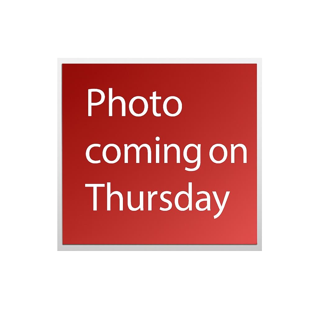 9380 ARVIDA DRIVE, Richmond BC V7A 3P4, R3038606, BC,